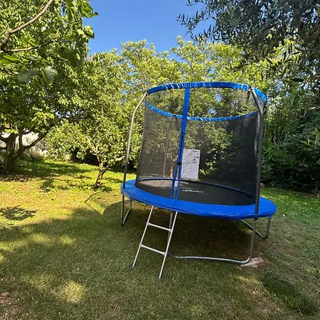 Milicevic ליובוסקי